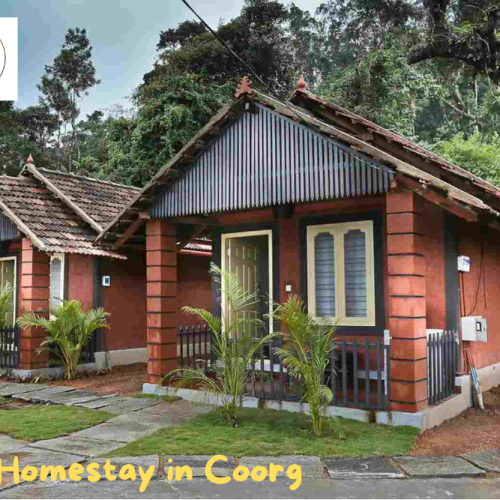 Finding Your Perfect Refuge: The Best Homestay in Coorg